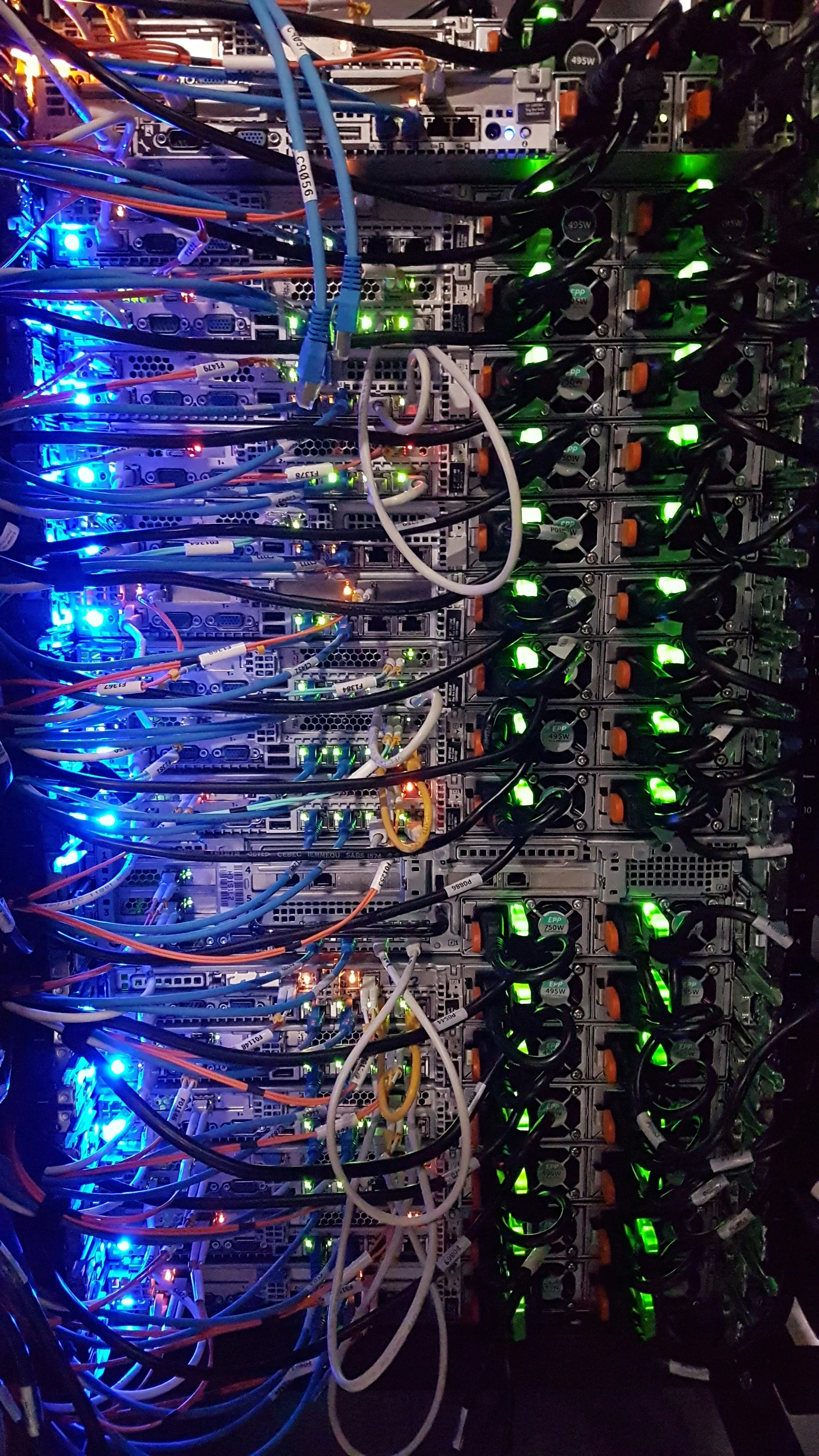 Server-Infrastruktur mit Netzwerkverkabelung